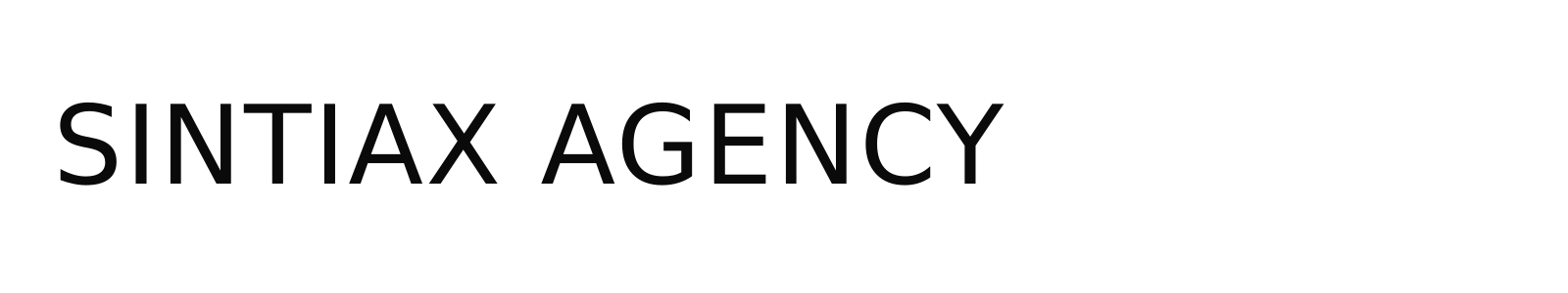 SINTIAX AGENCY LLC