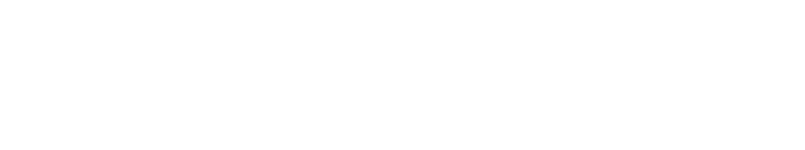 SINTIAX AGENCY